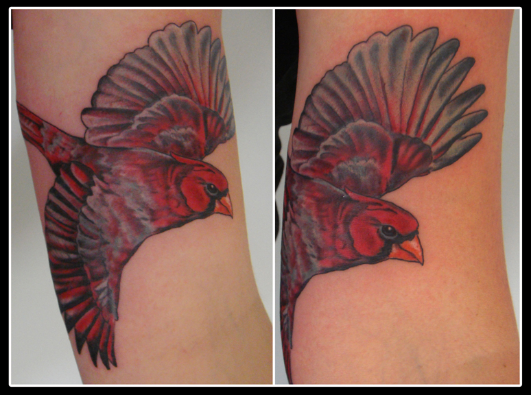 cardinal in color